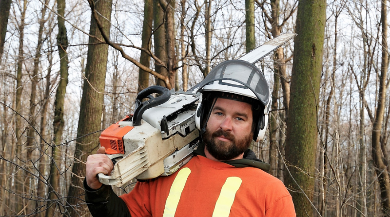 So, You Want My Job: Arborist Features