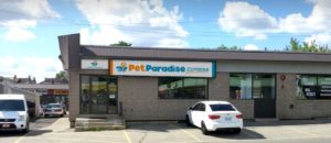 Your pet is our passion pet paradise Content Studio