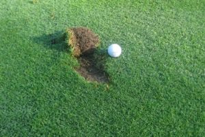 golf