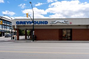 greyhound
