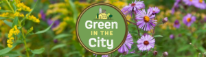 What makes a green city? Attend Green in the City to learn more Green in the City Content Studio