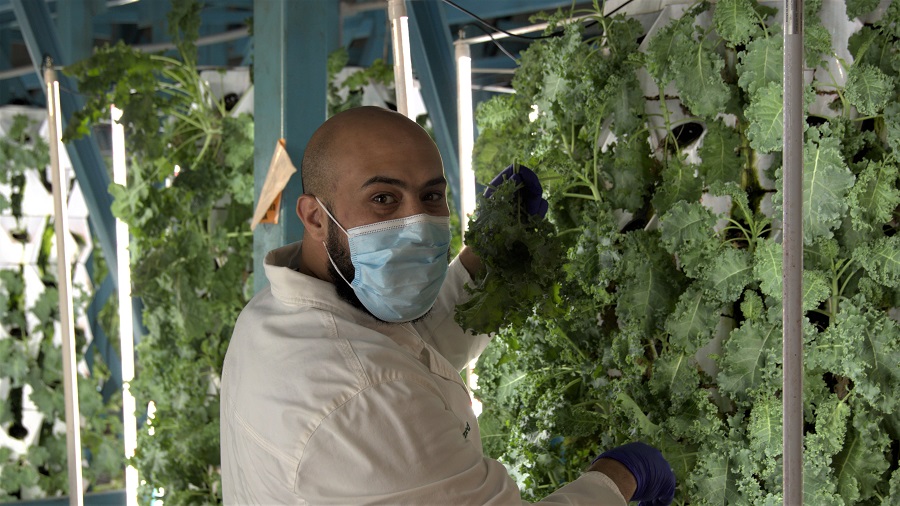 Farming up the city farming ag tech