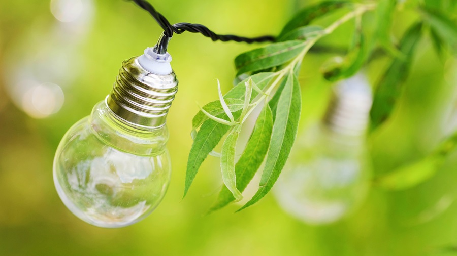 Insider's guide: Business energy efficiency comparison energy efficiency Partner Spotlight