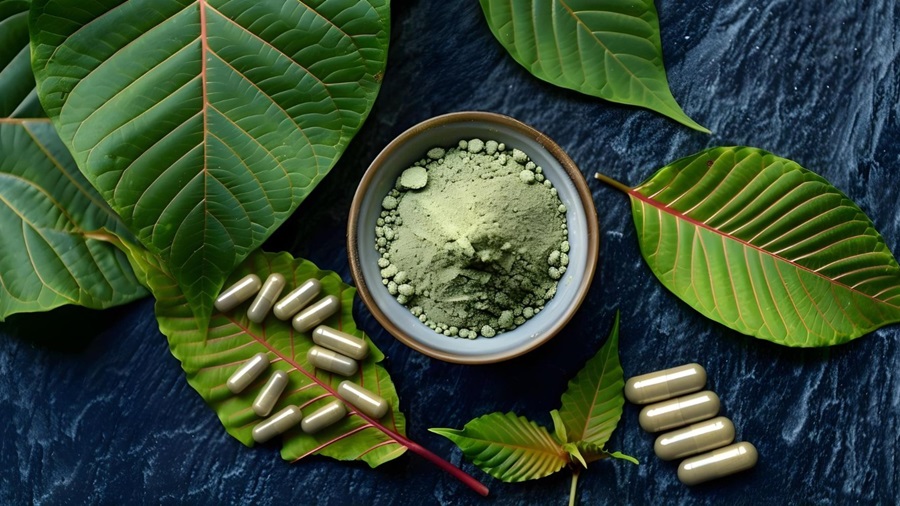 Why should you buy Kratom capsules from your nearby area? Kratom capsules Partner Spotlight