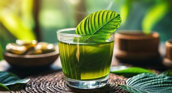 7 ways to get kratom dissolved for an easy consumption this season