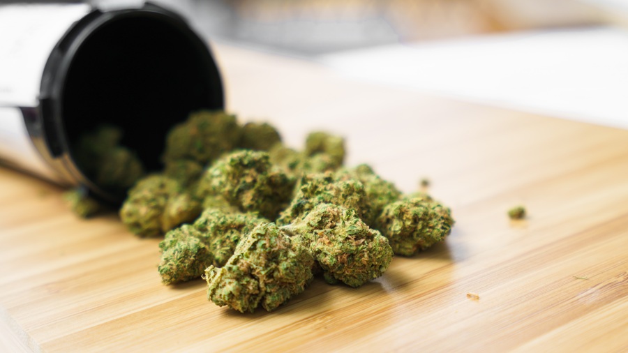 Cannabis retail’s quiet boom in Southwestern Ontario cannabis Partner Spotlight