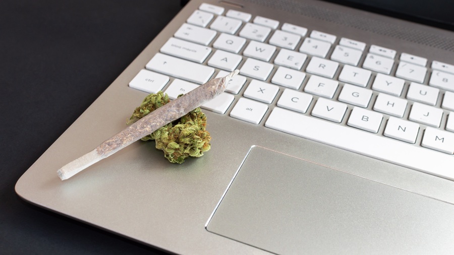 Cannabis retail’s quiet boom in Southwestern Ontario cannabis Partner Spotlight