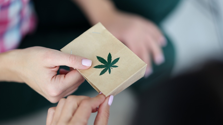 Cannabis retail’s quiet boom in Southwestern Ontario cannabis Partner Spotlight