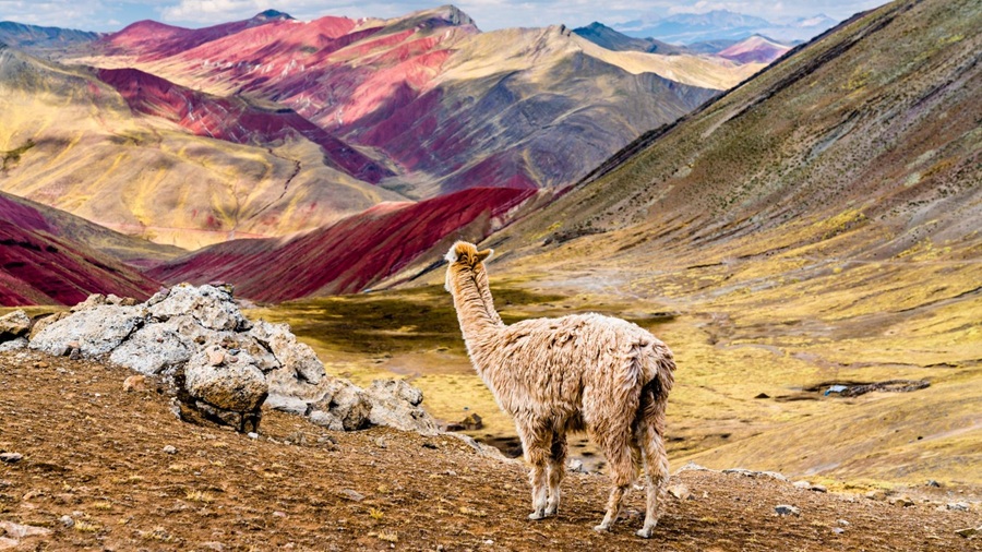 From Calgary to Cusco: An eSIM guide for Canadians heading to Peru esim Partner Spotlight