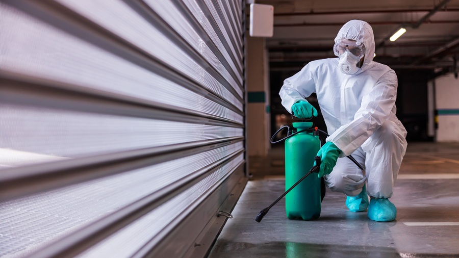 The hidden threat: Why your business needs specialized commercial pest control pest control Partner Spotlight