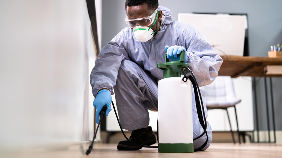 The hidden threat: Why your business needs specialized commercial pest control pest control Partner Spotlight