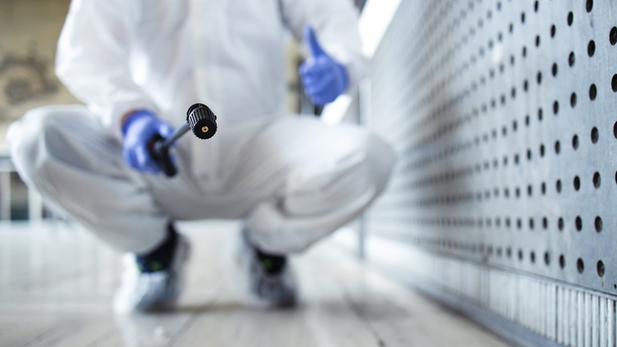 Why DIY mold removal can be dangerous and ineffective mold Partner Spotlight
