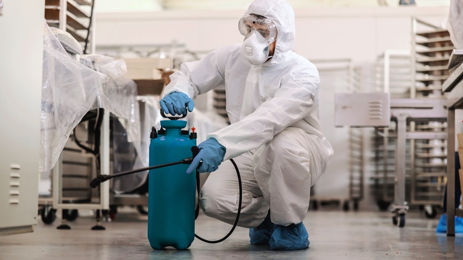 The hidden threat: Why your business needs specialized commercial pest control pest control Partner Spotlight