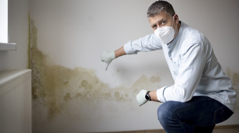 mold
