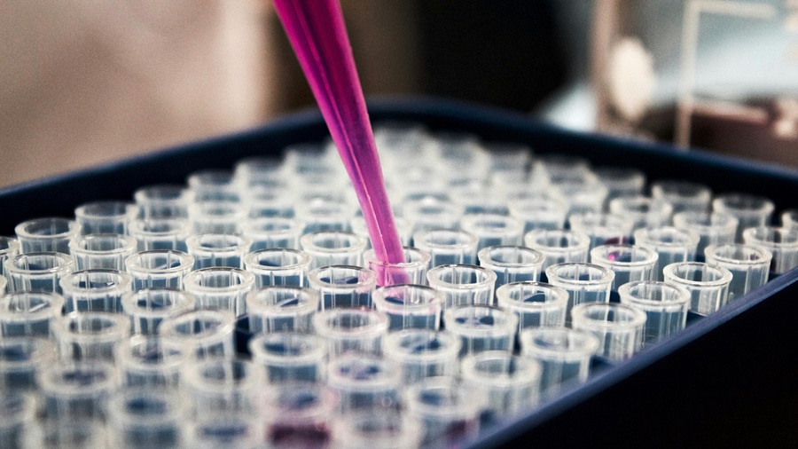The synergistic potential of Tesamorelin and Ipamorelin peptide blend in research tesamorelin Partner Spotlight