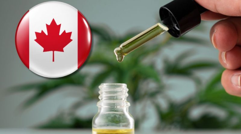 Best CBD oil in Canada: Buyer’s guide & reviews [2025] cbd Partner Spotlight