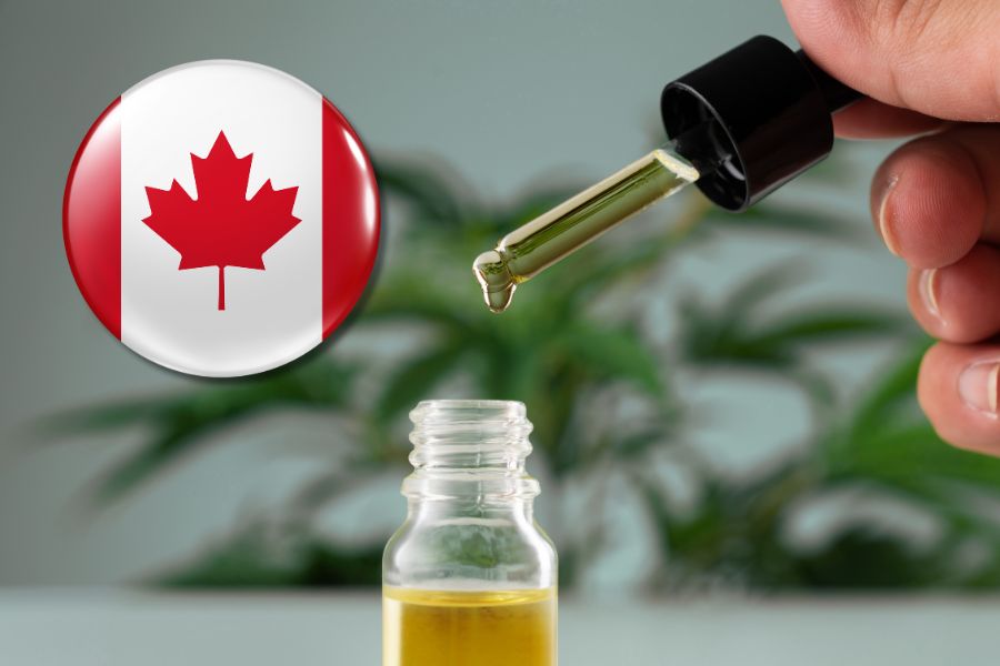 Best CBD oil in Canada: Buyer’s guide & reviews [2025] cbd Partner Spotlight