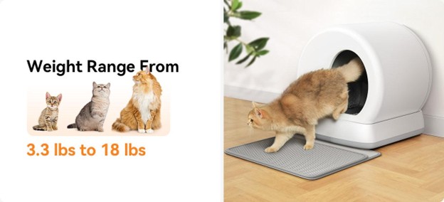 Can automatic litter boxes handle multi-cat homes? litter Partner Spotlight