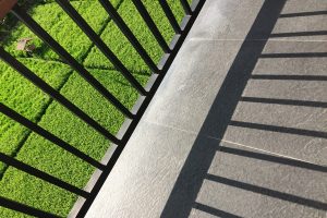 fence