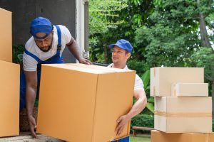 professional movers
