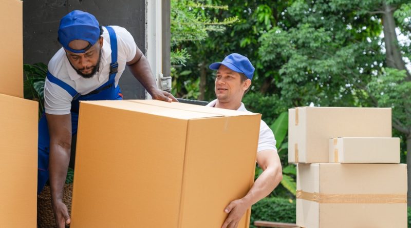 professional movers