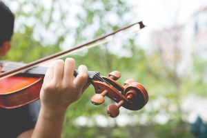 violin