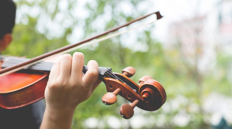 violin