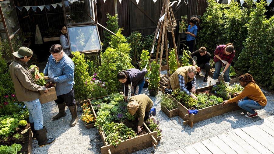 Sustainable recovery: How green practices can strengthen sober living communities recovery Partner Spotlight