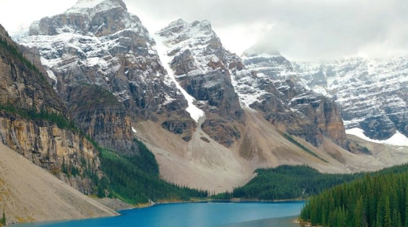 Alberta politics and the cost of power alberta Partner Spotlight