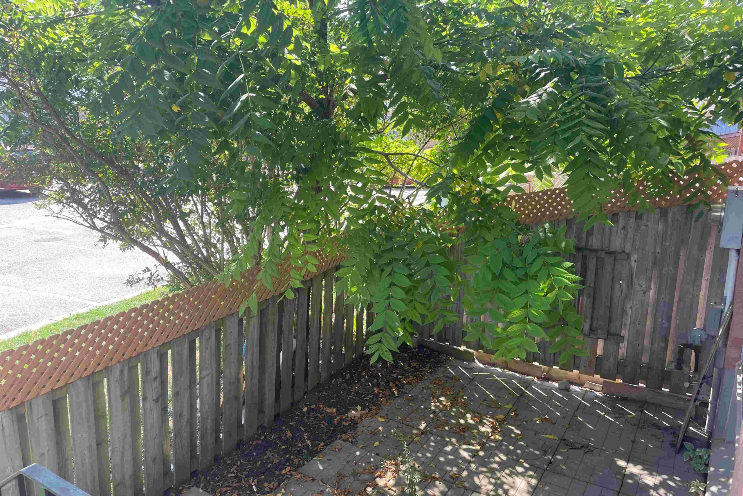 Home of the Week: 67-135 Belmont Drive phishing Focus