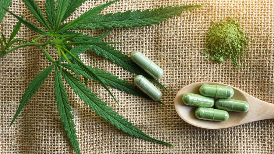 The growing role of THCA hemp flower in lifestyle products hemp Partner Spotlight