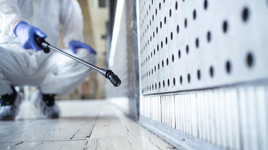 Why you should avoid leaving water dishes out overnight water Partner Spotlight