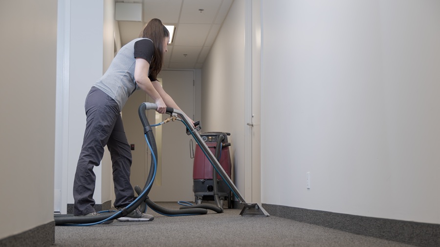 Business insights into the growing rug cleaning services market rug Partner Spotlight