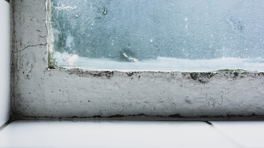 Top 9 locations where basement seepage turns into nightmares revealed basement Partner Spotlight