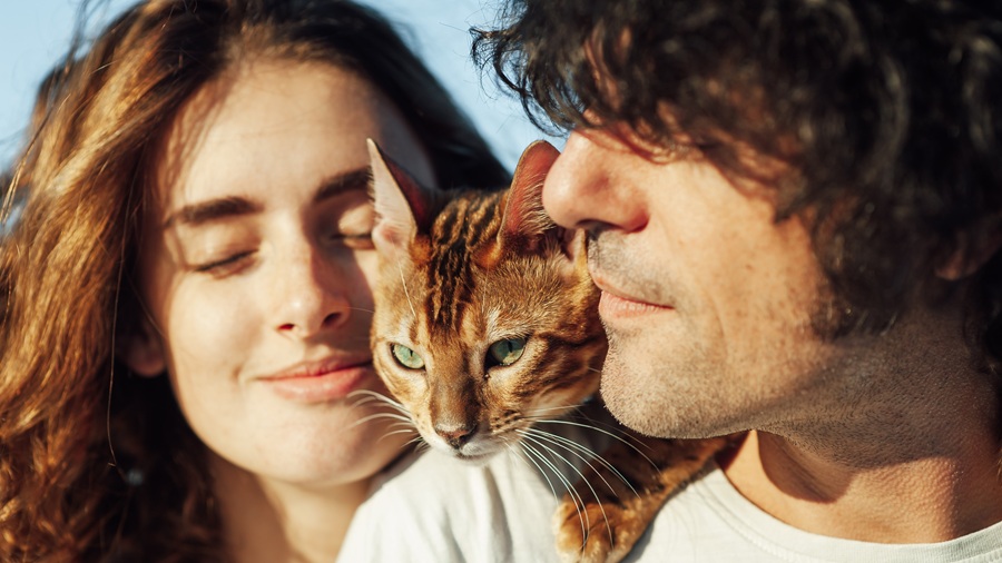 Best CBD brands for pets in Canada 2026: Top choices pets Partner Spotlight