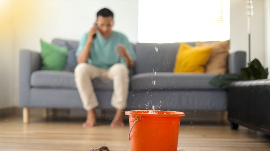 How water damage restoration protects your property fast damage Partner Spotlight