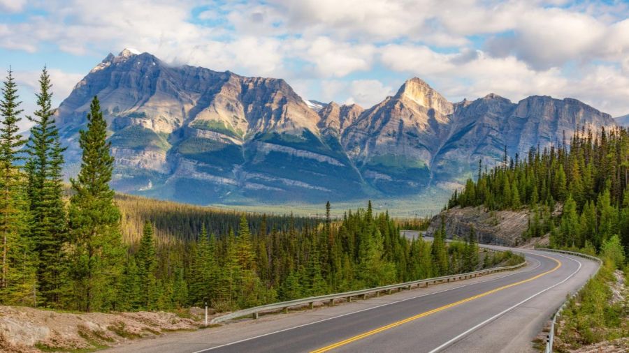 How Bill 16 is shaping the best Alberta online casinos in 2026 bill Partner Spotlight