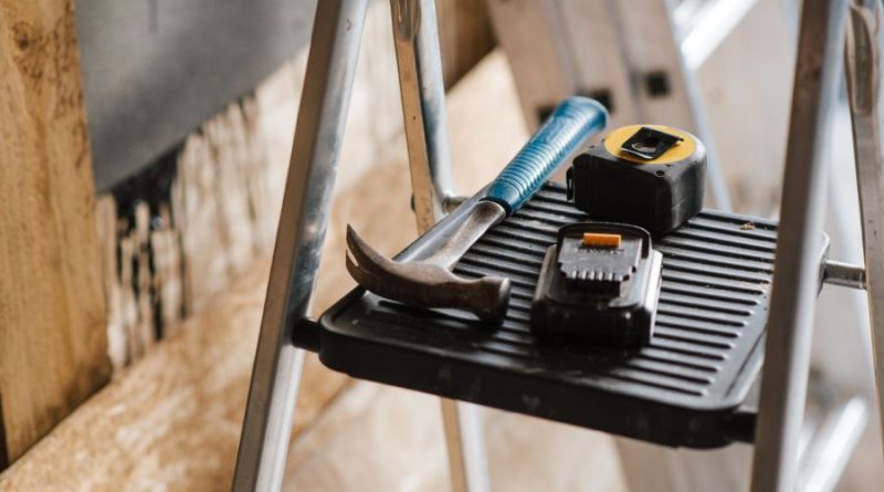 The home maintenance problems you shouldn’t ignore wildlife Partner Spotlight