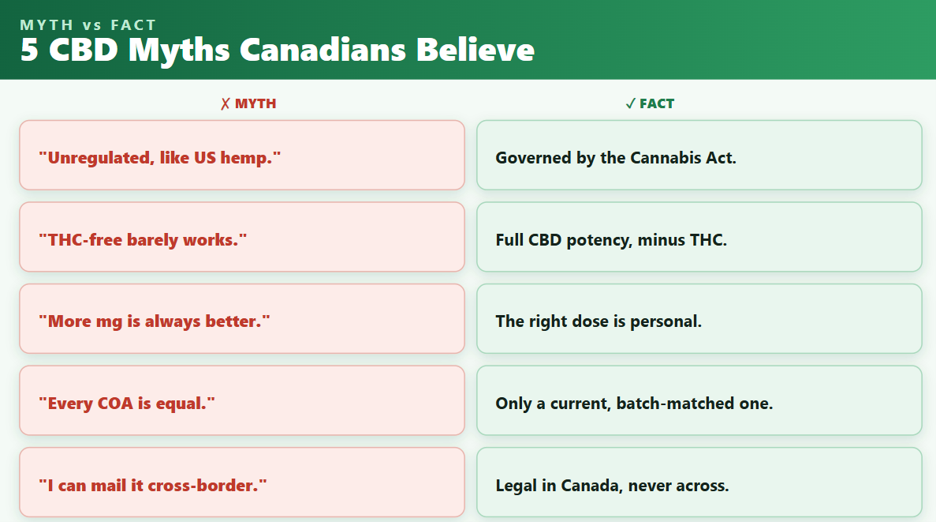 Best CBD oil in Canada 2026: Top 3 lab-tested brands ranked cbd Partner Spotlight