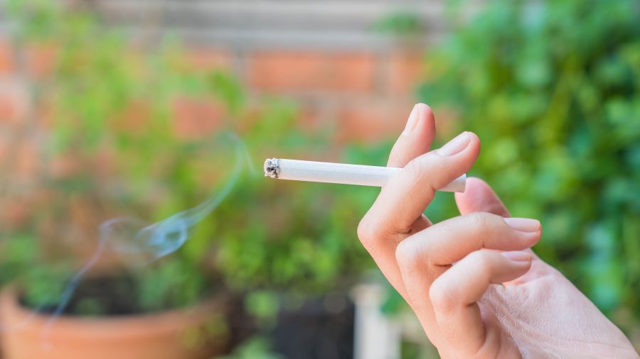 Canadian menthols From Smokes Canada — putting a recognizable menthol cigarette in the spotlight | menthols | London Inc Magazine Canadian menthols From Smokes Canada — putting a recognizable menthol cigarette in the spotlight menthols Partner Spotlight